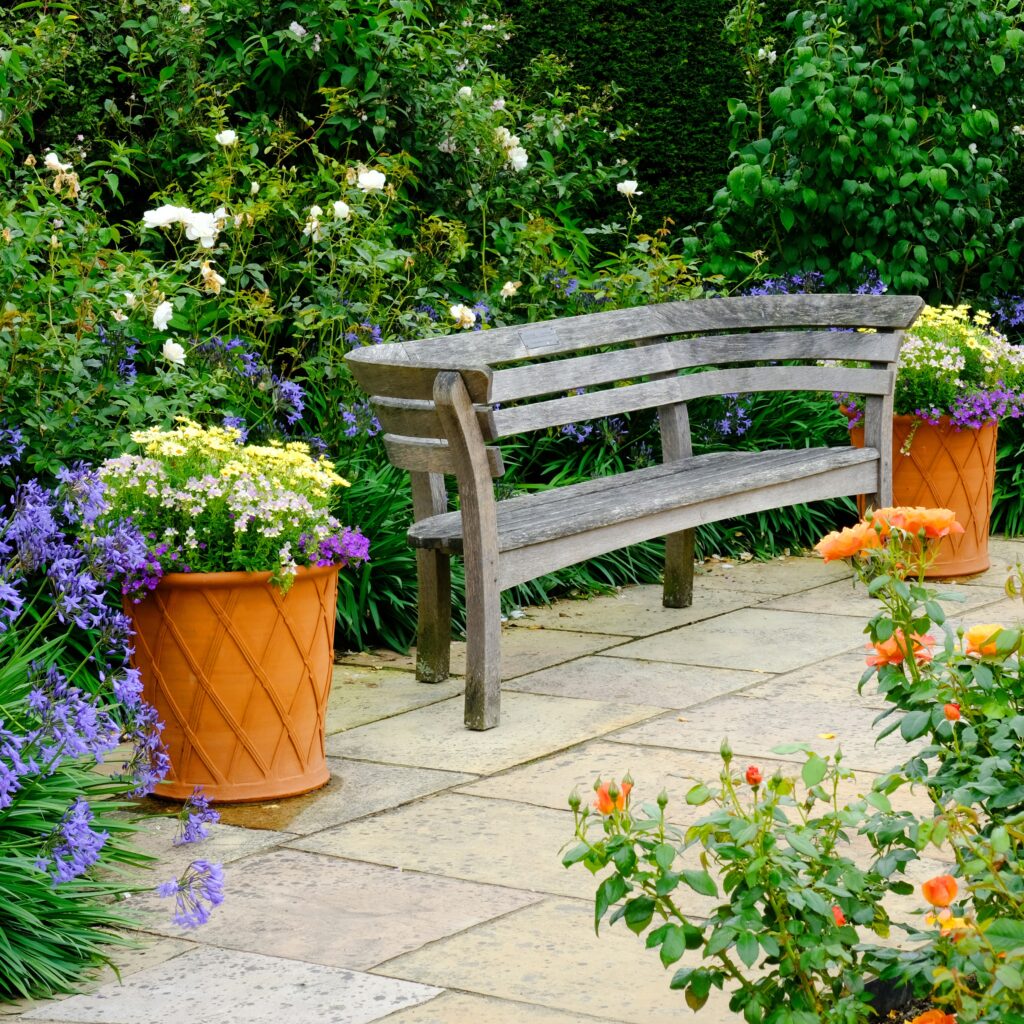 outdoor plants