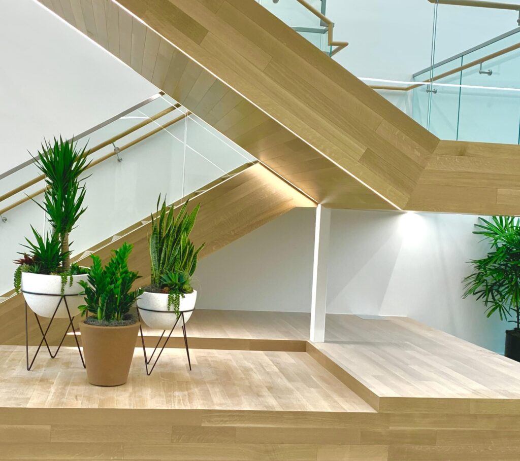 indoor plants