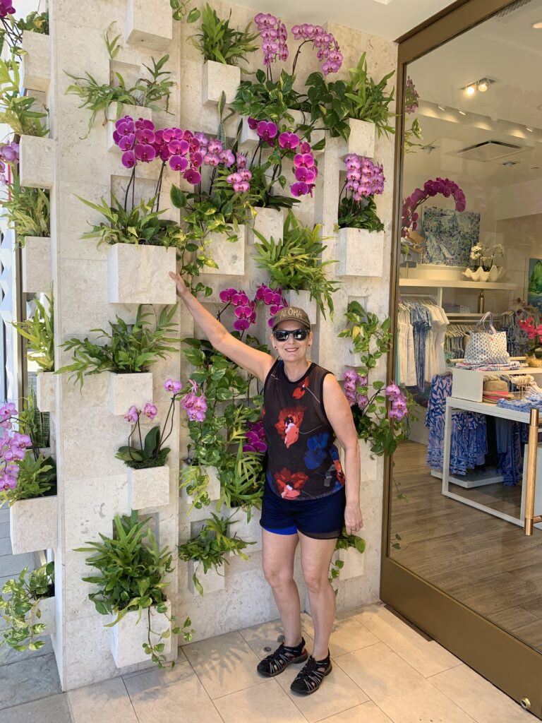 plant wall
